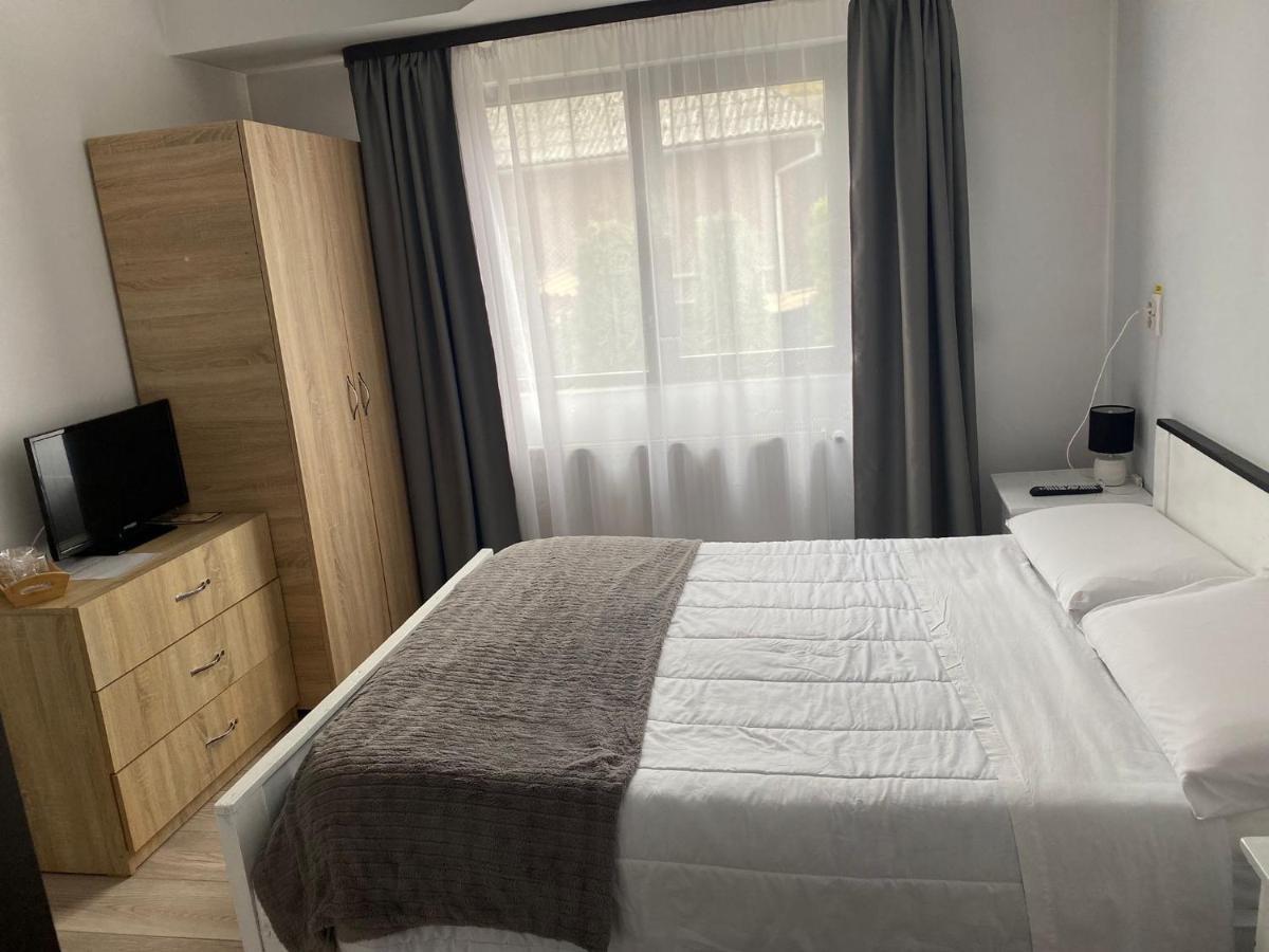 Casa Mocanitei Vişeu de Sus Esterno foto