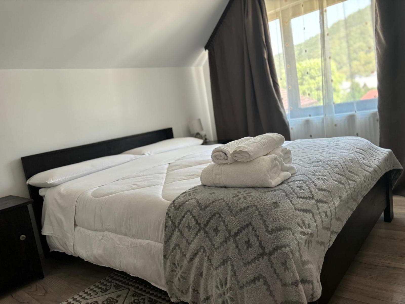 Casa Mocanitei Vişeu de Sus Esterno foto